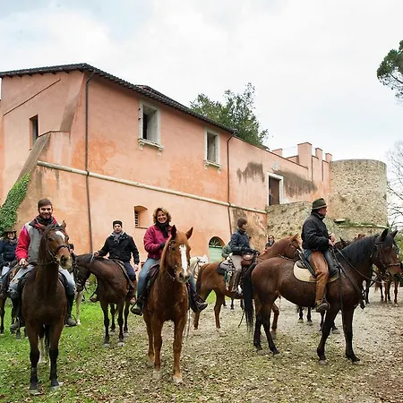 Holiday Podere Orzalume Agroturismo Corbara (Umbria)