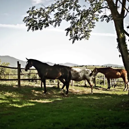 Agroturismo Holiday Podere Orzalume Corbara (Umbria)